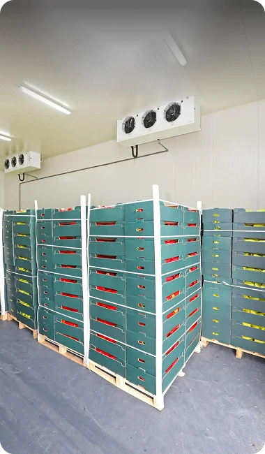 Cold Storage Refrigeration