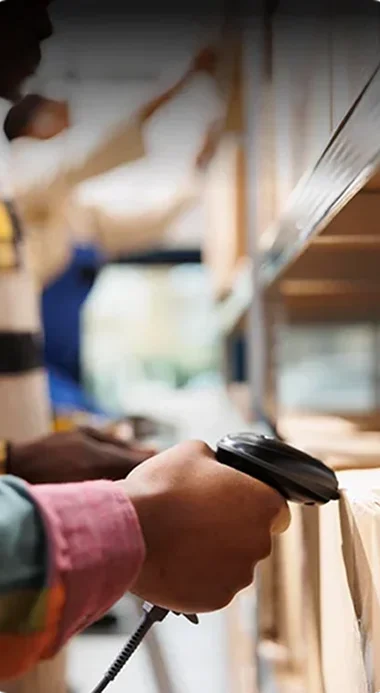 Order Processing & Fulfilment